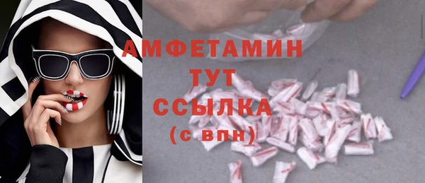 индика Волосово