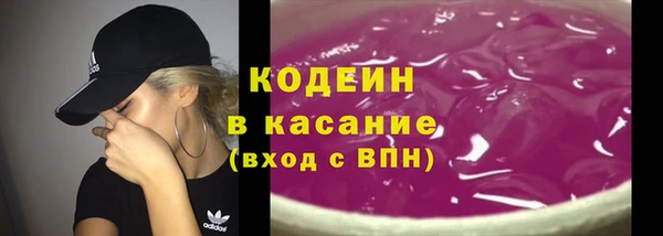 индика Волосово