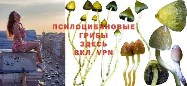 каннабис Володарск