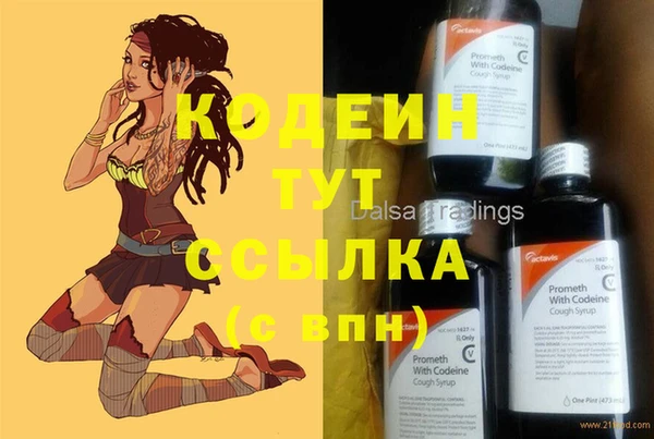 индика Волосово